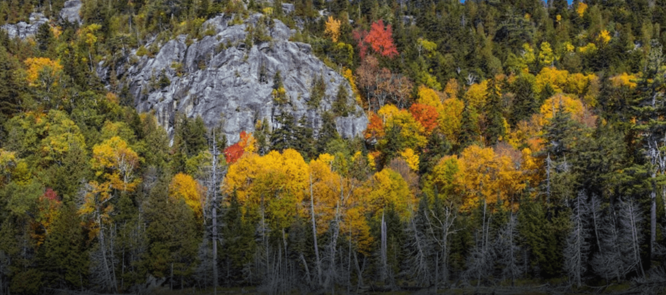 Vibrant autumn foliage surrounds a rocky hillside.