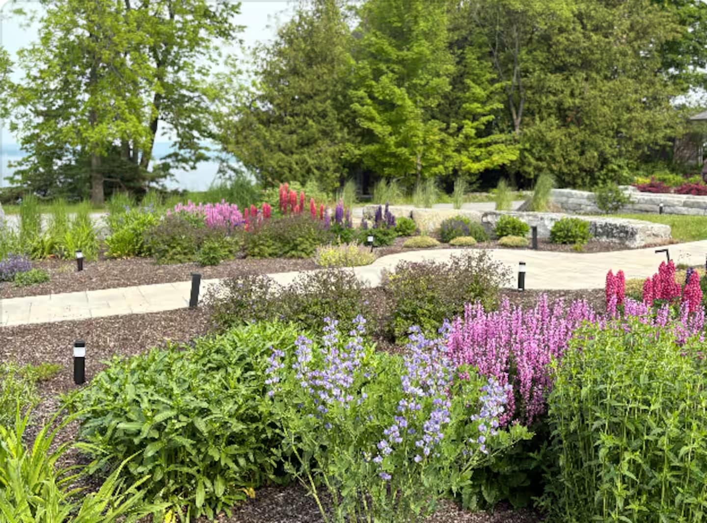A vibrant garden pathway lined with various blooming flowers and greenery.